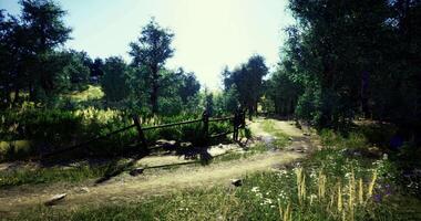 CGI Beautiful forest path with lush greenery and a wooden fence during daytime video
