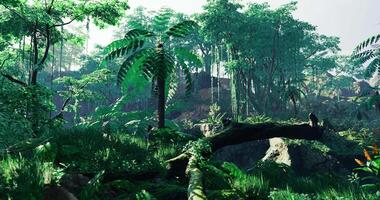 CGI Tropical forest with dense foliage and sunlight filtering through trees video