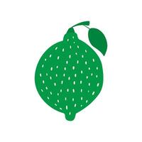 Fresh lime modern flat illustration design. Green citrus fruit with leaf on white background. vector