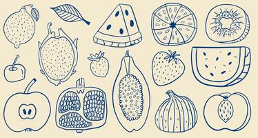 Hand-drawn fruit set. Doodle collection of various fruits. Outline icons collection. Design elements. vector