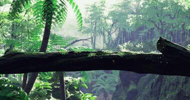 CGI Sunlight filters through a lush green forests vibrant canopy video