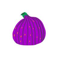 Fresh colorful hand draw figs on white isolated background. illustration vector