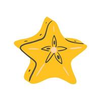 Starfruit slice with flower-shaped core. hand drawn illustration with fruit. vector