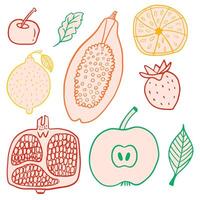 Set of colorful hand drawn fruits, papaya, lemon, apple, pomegranate, orange. Design elements in doodle style vector