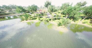 CGI Lush greenery surrounding a tranquil lake in a calm natural setting video