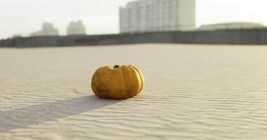 CGI Pumpkin sits alone on sandy landscape under bright sunlight during day video