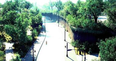 CGI Lush urban park landscape with vibrant greenery under bright sunlight video