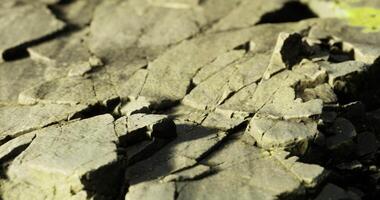 CGI Close up of textured rock surface showing natural patterns and colors video