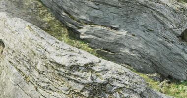 CGI Rugged rock formations near a forested area show intricate textures and colors video