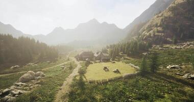 CGI Serene mountain valley with a quaint farmhouse and livestock at dawn video