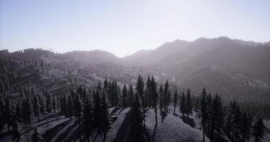 CGI Snow covered mountains with evergreen trees under bright sunlight video