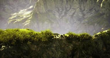 CGI Vibrant greenery on rocky terrain under majestic mountain backdrop video