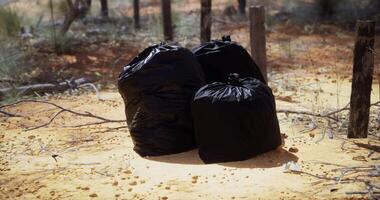 CGI Litter left behind in a dry area surrounded by sparse vegetation video