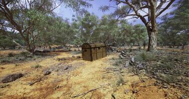 CGI Exploring a hidden treasure chest in a dry forest landscape video
