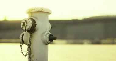 CGI Fire hydrant near body of water at sunset creating serene atmosphere video