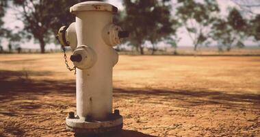 CGI Hydrant located on a dry, dusty ground near trees in a rural area video