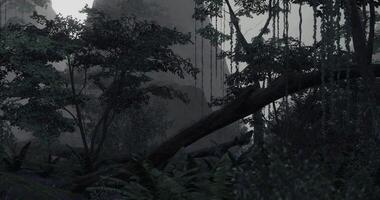 CGI Dense forest with mist creating an eerie atmosphere in the morning video