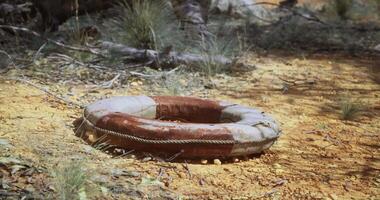 CGI Old lifebuoy rests on dry ground in a secluded outdoor area near trees video