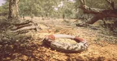 CGI Abandoned life preserver resting on dry ground surrounded by trees video