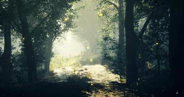 CGI Glowing lights illuminate a serene forest path during twilight hours video