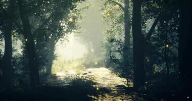 CGI Glowing fireflies illuminate the tranquil forest path at twilight video
