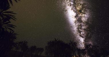 CGI Night sky over palm trees with a stunning view of the Milky Way video