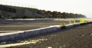 CGI Abandoned parking lot showing nature reclaiming concrete at sunset video
