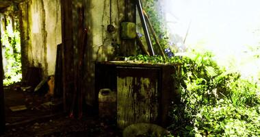 CGI Nature reclaims abandoned structure in vibrant overgrown greenery video