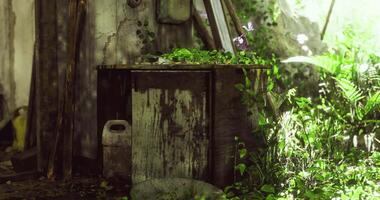 CGI Abandoned garden shed overgrown with plants in a serene outdoor setting video