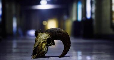 CGI Intriguing ram skull resting on a floor in a dimly lit corridor video