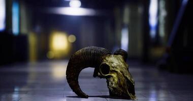 CGI Ram skull displayed in a dimly lit modern hall with blurred background video