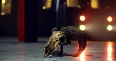 CGI Ram skull displayed in a modern subway station during evening hours video