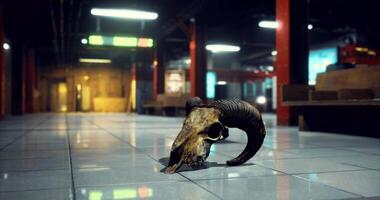 CGI Unusual ram skull placed on tiled floor of an empty underground space video