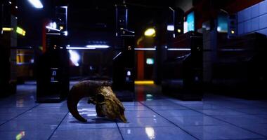 CGI Lost relic in an abandoned arcade filled with darkness and mystery video