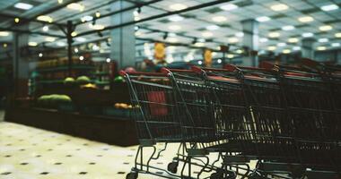 CGI Grocery carts lined up in a supermarket ready for shopping video