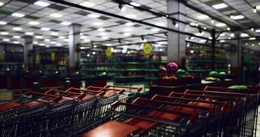CGI Shopping carts lined up in a spacious grocery store ready for customers video