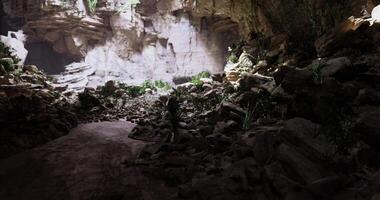 CGI Exploring a rocky cave with vegetation and natural light during the daytime video