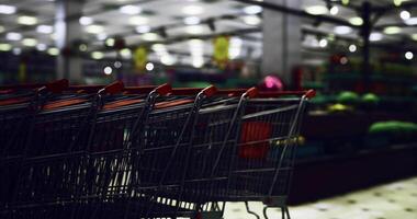 CGI Shopping carts lined up in a grocery store at night hours video