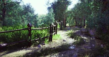 CGI Serene forest path with wooden fence and lush greenery near a stream video