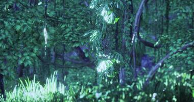 CGI Vibrant green forest with soft light through the trees video