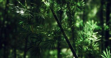 CGI Bamboo leaves sway in gentle breeze within lush green forest setting video