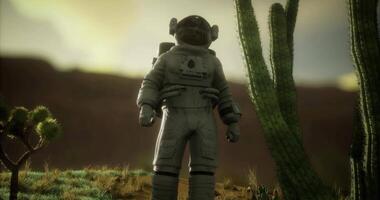 CGI Astronaut explores alien landscape with cacti under a surreal sky video