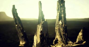 CGI Remnants of ancient trees stand in a desolate landscape during sunset video