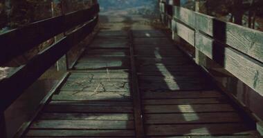 CGI Wooden walkway under soft sunlight in a tranquil natural setting video