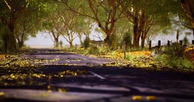 CGI Captivating view of a quiet dirt road surrounded by greenery in the countryside video