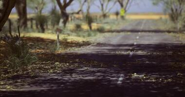 CGI Abandoned road surrounded by trees and fallen leaves in rural landscape video
