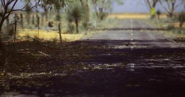 CGI Rural road surrounded by trees during daytime in a quiet countryside setting video