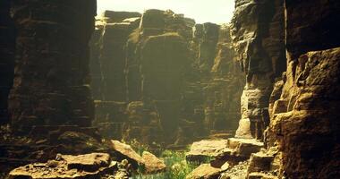 CGI Exploring a sunlit canyon with dramatic rock formations and lush vegetation video