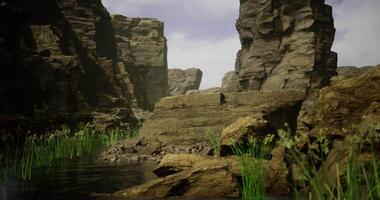 CGI Rocky landscape with serene water and lush vegetation in natural setting video