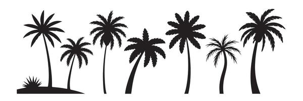 Set of black silhouetted palm trees on a white background for tropical design and decoration vector